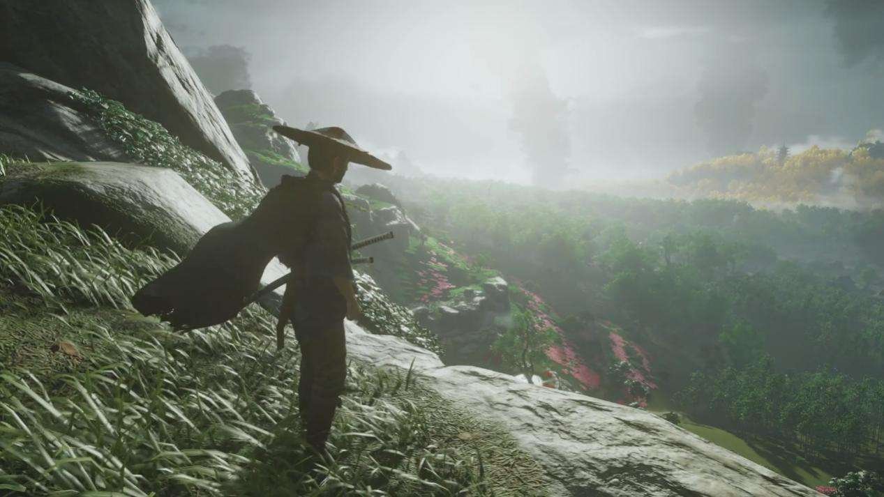 F1 2024 豪华版 截图2